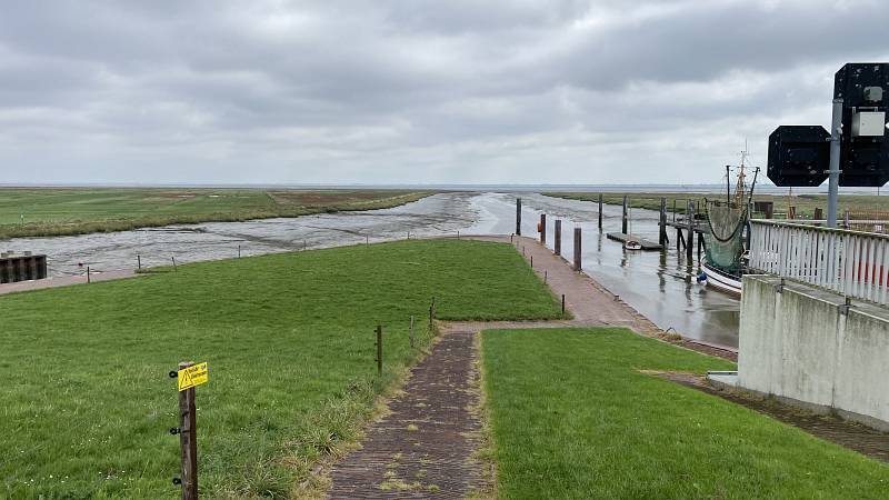 B-0050-IMG_1045