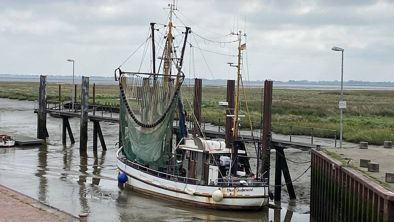 B-0070-IMG_1047
