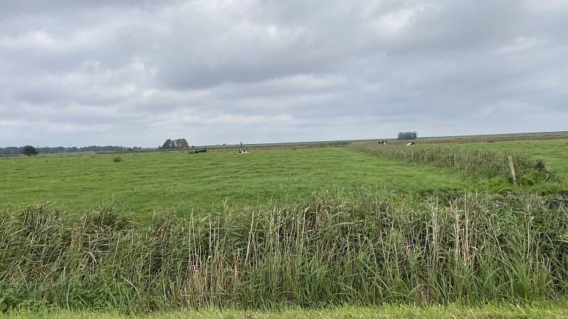 B-0120-IMG_1053